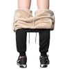 Fashions Pant